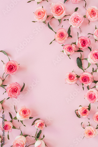Flat lay rose flower buds on pink background. Top view minimal floral composition.