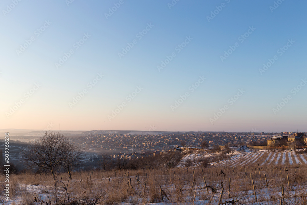 Beautiful winter vineyards