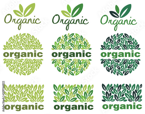 WebOrganic. Green leaves and logo for your product