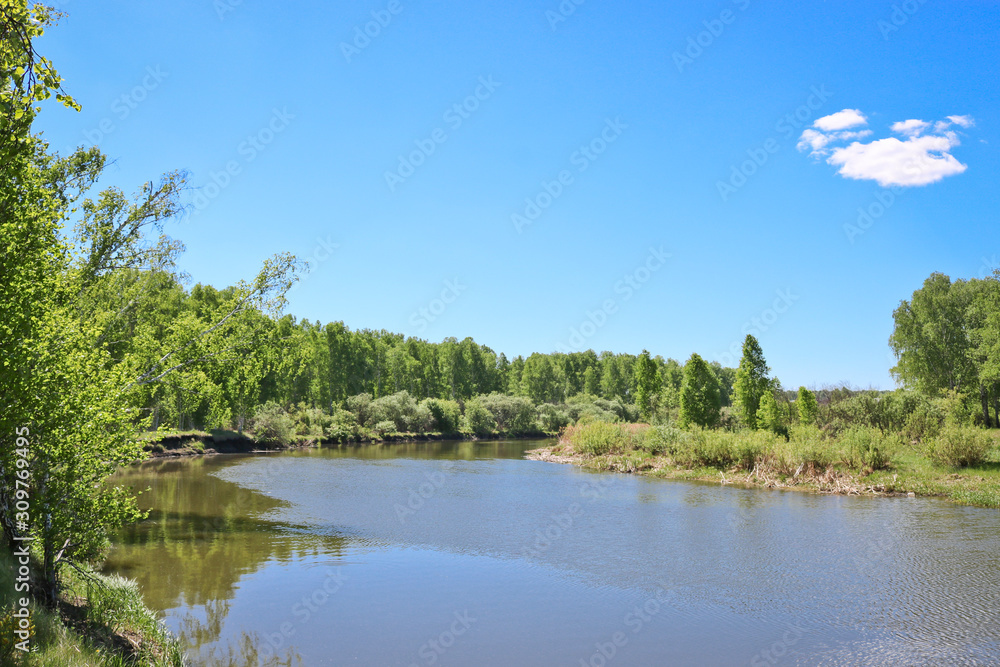 Summer landscape - A calm flat river among fields and birch groves under a blue sky. Cloudless summer weather.