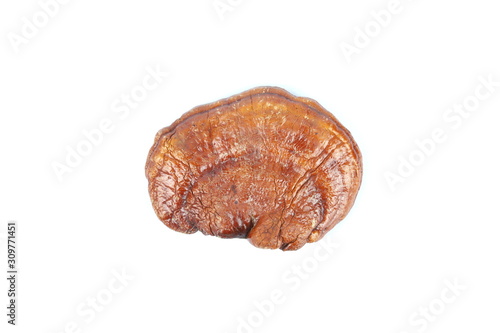 Dried ganoderma on white background, Reishi (lingzhi) mushroom