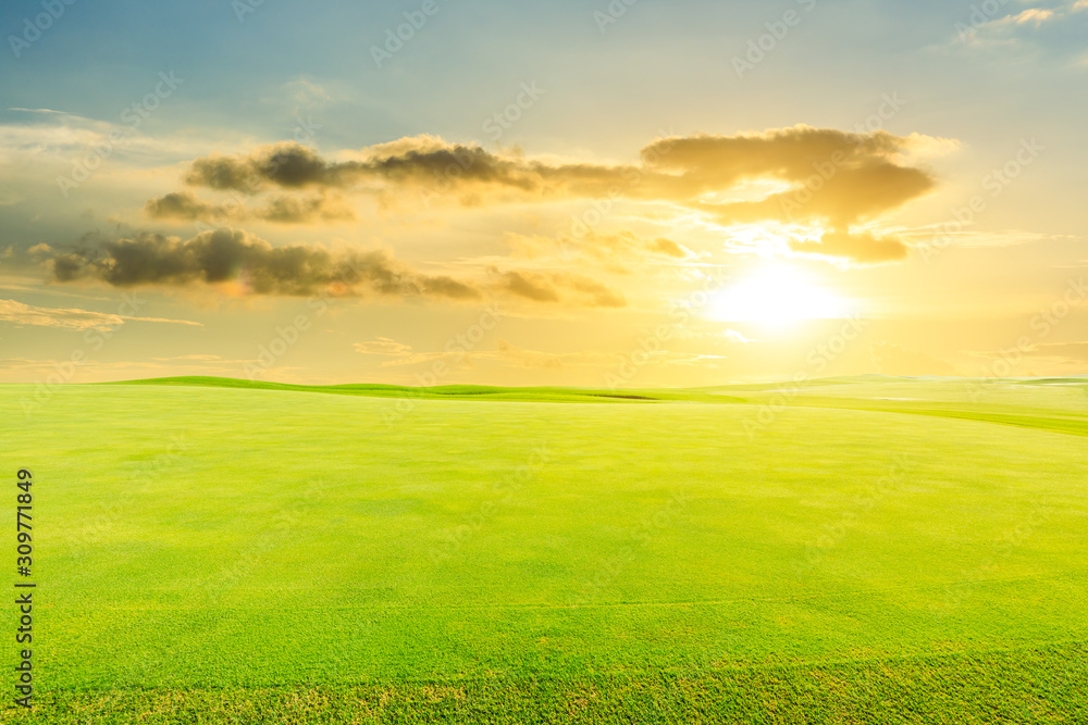 Green grass and blue sky on a sunny day.