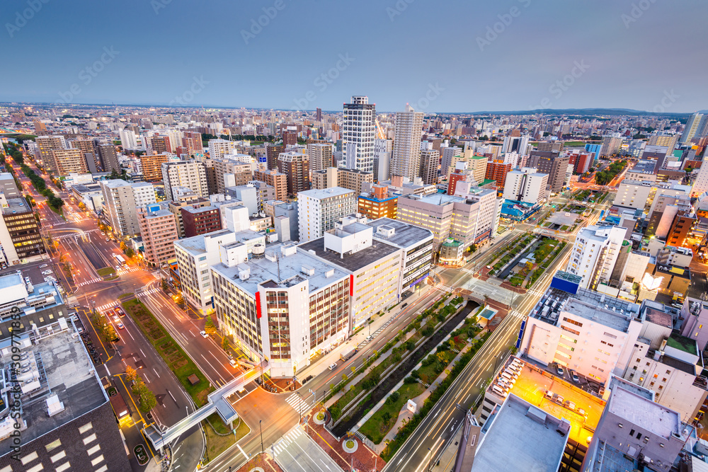 Fototapeta premium Sapporo, Japan Cityscape at Twilight