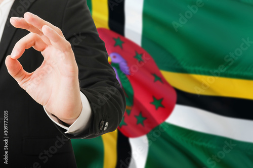 Dominica acceptance concept. Elegant businessman is showing ok sign with hand on national flag background.