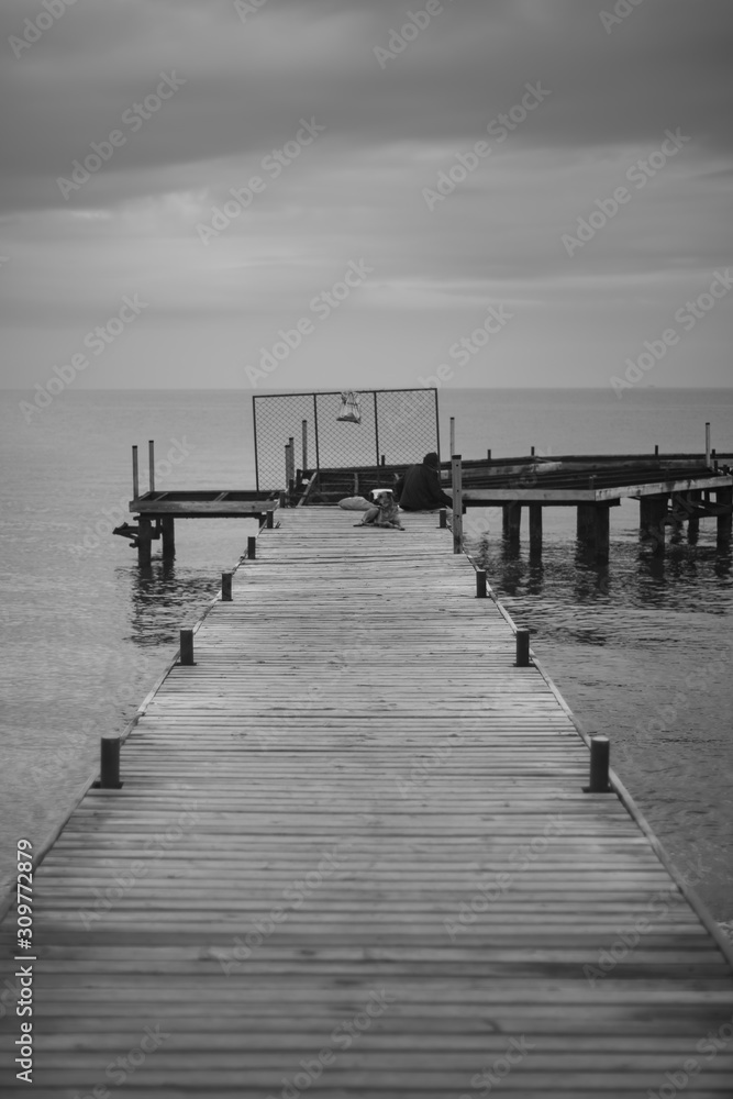 Naklejka premium Black and white pier and sea. Perspective view of the pier.