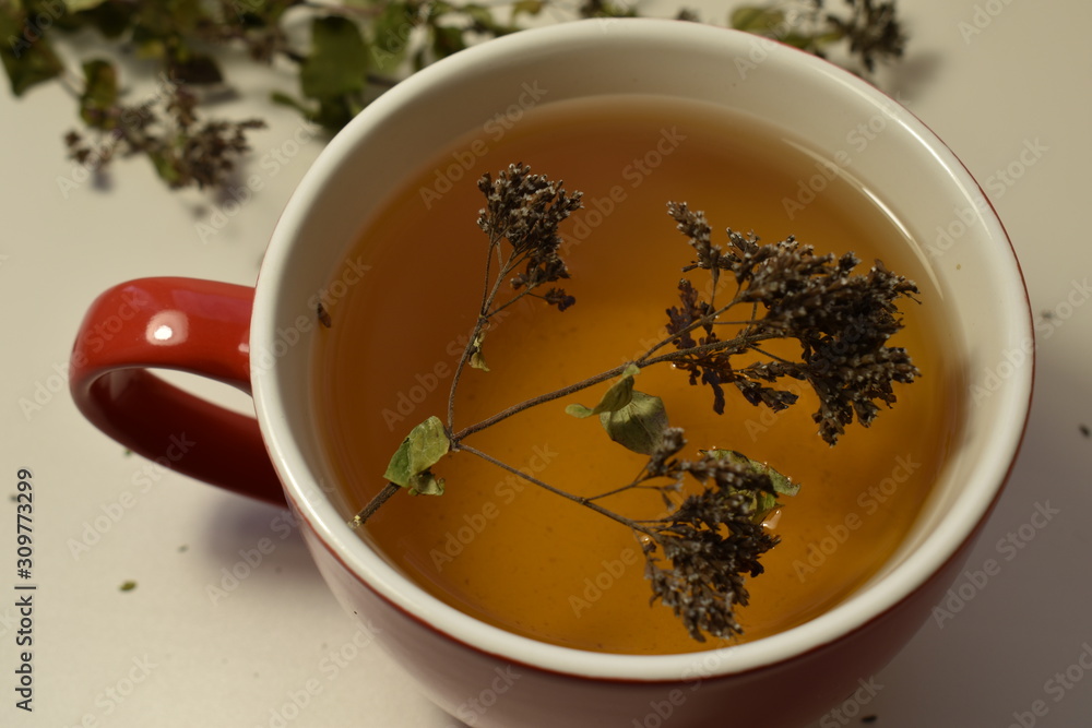 cup of green tea cup of green tea