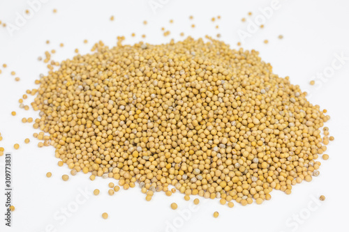 heap of yellow mustard seeds
