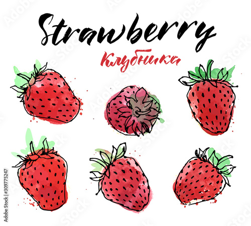 Hand drawn watercolor painting strawberry on white background. Traced watercolor illustration.