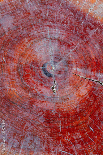 Wood as a vertical background