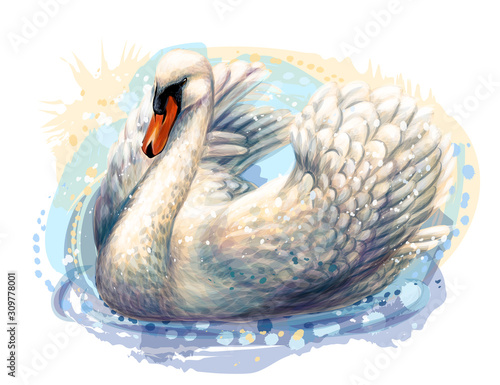 The swan is swimming. Hand-drawn, artistic, flowered image of a swan bird on a white background in a watercolor style.