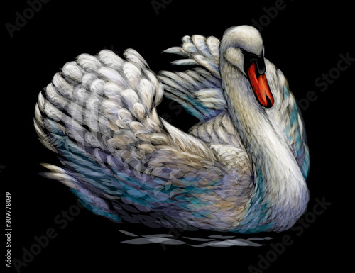 Fototapeta Naklejka Na Ścianę i Meble -  The swan is swimming. Hand-drawn, artistic, flowered image of a swan bird on a black background.