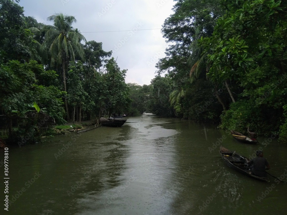 Fototapeta premium river and trees