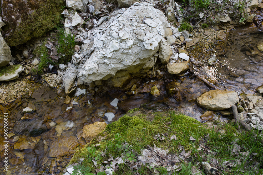 Stream in the forest. Stream in the forest.