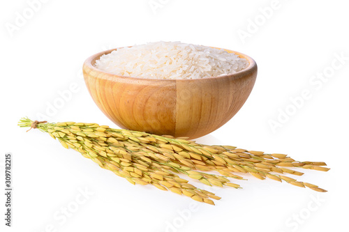  jasmine rices in wooden bolw with Thai jasmine rice  paddy isolated on white background