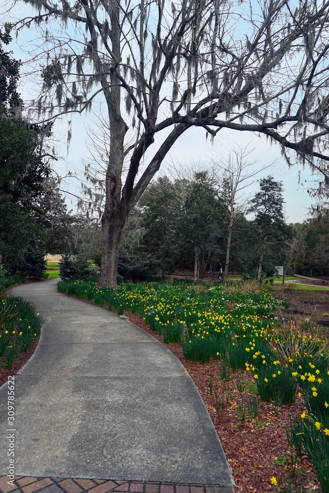 Obraz premium A walking path through a garden