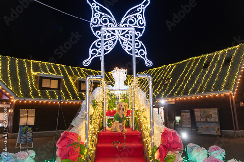 マザー牧場_ゴールデンレトニエル