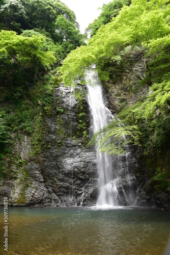 五月の滝と緑 © Nozomi