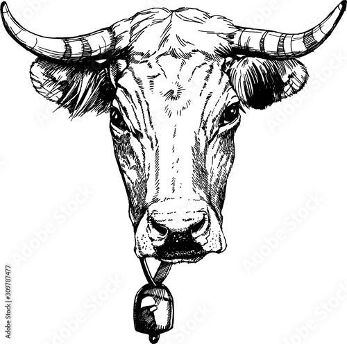 vector graphics illustration farm animals Obrak cow face