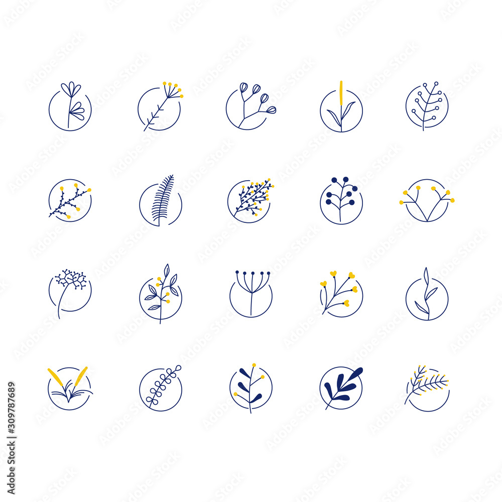 vector flower elements in circle