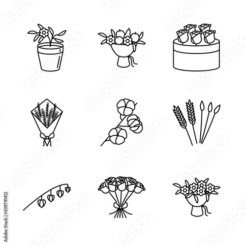 Flower, and dried flowers line icon set. Physalis peruviana flowerpot, lavender, cotton branch, rye, bunny tail, fruit bouquet, roses. For floristic shope web design and printed materials