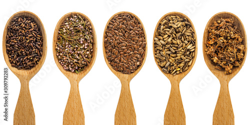 A few wooden spoons with different dry therapeutic seeds for the treatment of