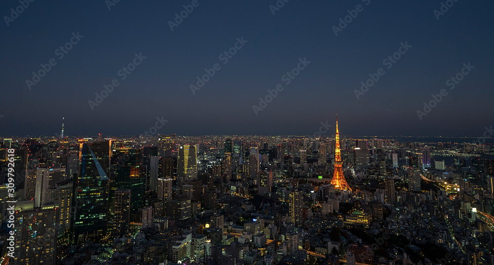 Tokyo aerial view cityscape with Tokyo Tower, Japan Tokyo tower and city skyline in sunset background view. Tokyo city skyline at twilight