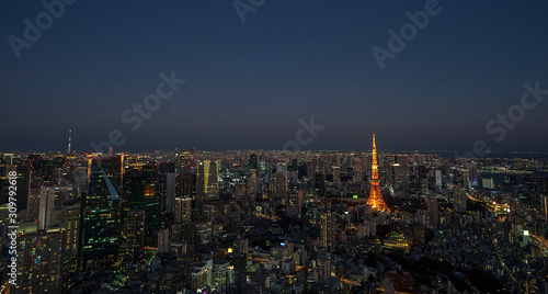 Tokyo aerial view cityscape with Tokyo Tower  Japan Tokyo tower and city skyline in sunset background view. Tokyo city skyline at twilight