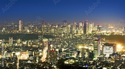 Tokyo skyline at night view from Roppongi Hills Mori Tower photo