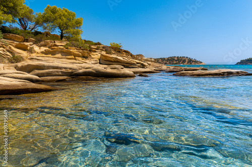 Trees growing on rocks and sea in Greece
