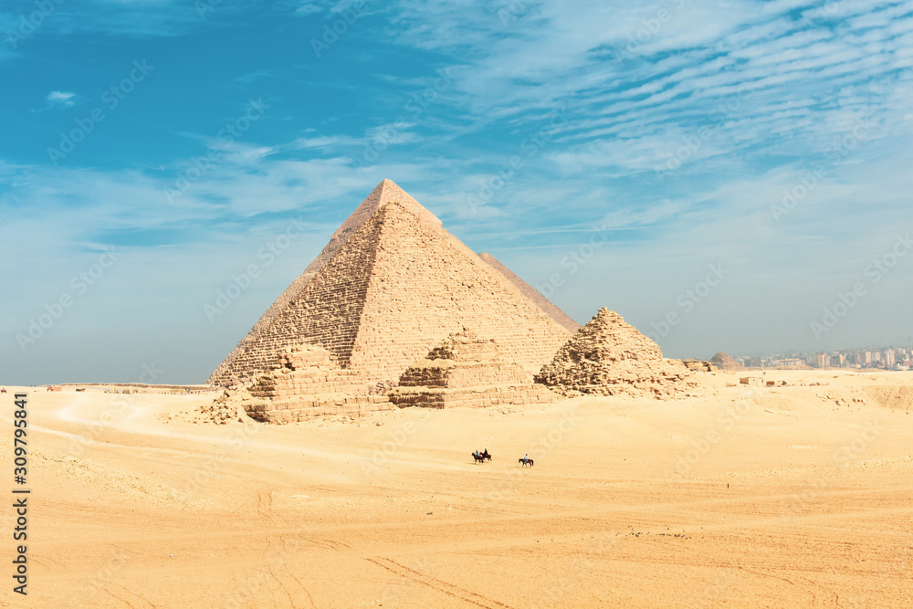 horses beside the Great Pyramids horses beside the Great Pyramids