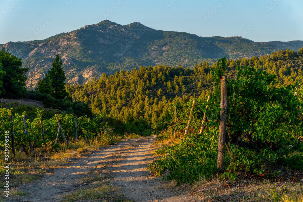 Road and green mountains in Greece