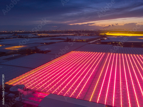 aerial view of modern agricultural greenhouses in the Netherlands that uses LED lights to support the growth of the plants; Westland, Netherlands