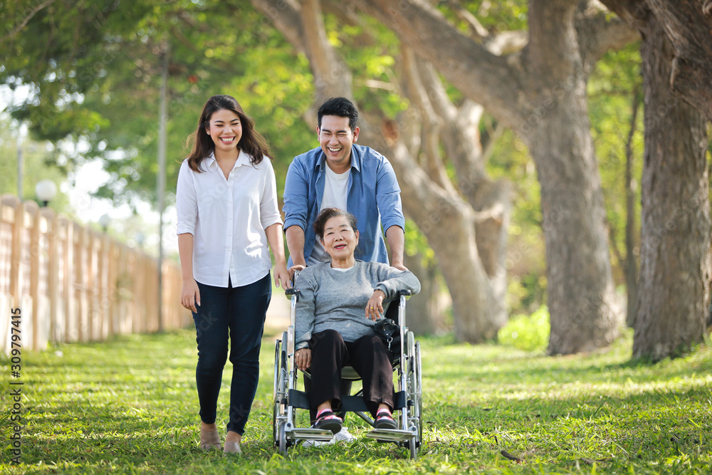 Asian senior woman sitting on the wheelchair with family happy smile face on the green park