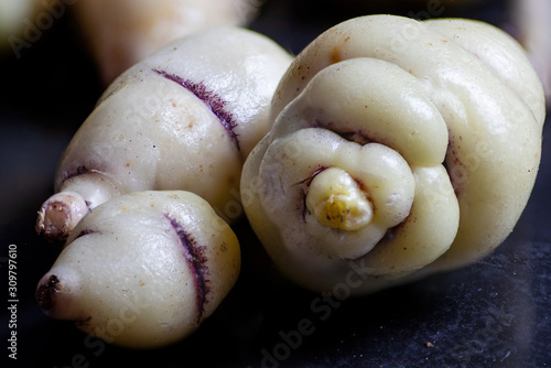 MASHUA 'White' (Tropaeolum tuberosum)Mashua is a tuber crop native to the Andes, where it was developed alongside the similar tuber crops potato, oca, and ulluco. photo