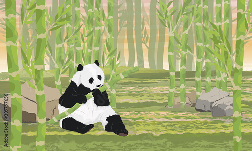 A large panda nibbles on a juicy stalk of bamboo. Asian animals. Bamboo grove. China Realistic vector landscape