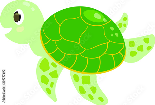 vector illustration of turtle isolate on white background. Concept for print, web design , cards 