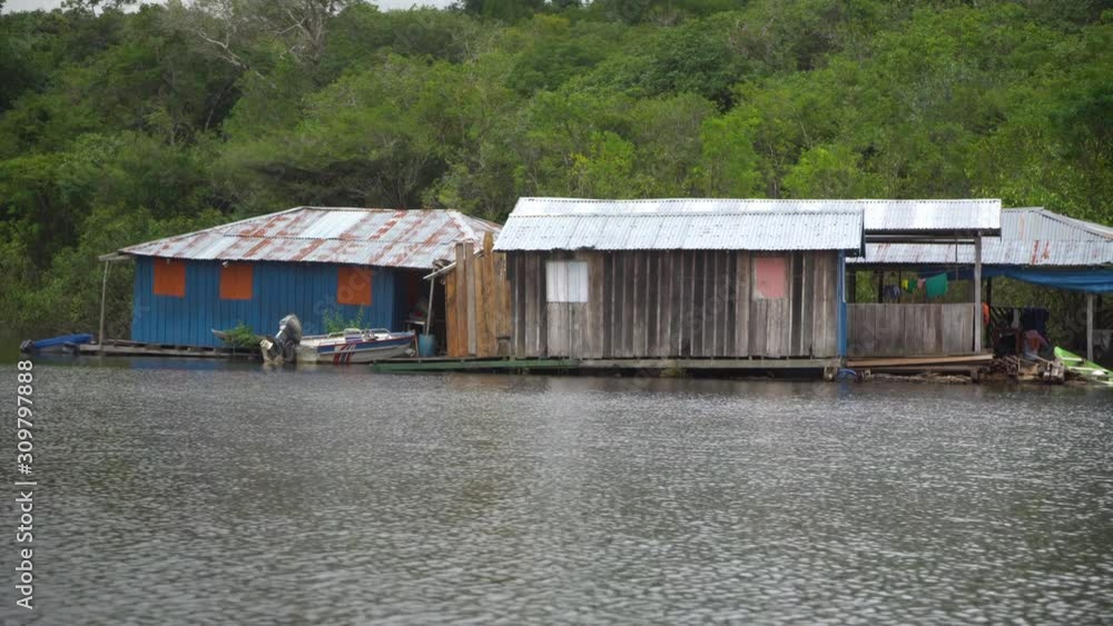 Floats on Rio Negro River, Amazonia, Manaus Region, View From Moving Vessel Floats on Rio Negro River, Amazonia, Manaus Region, View From Moving Vessel