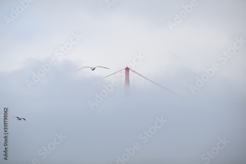 Golden Gate Bridge Fog