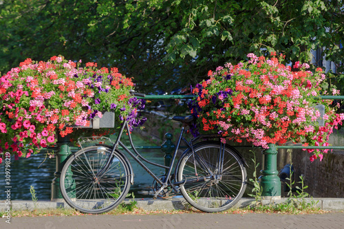 colorful plants on the railing of a bridge over one of the canals in the center of The Hague; The Hague, Netherlands