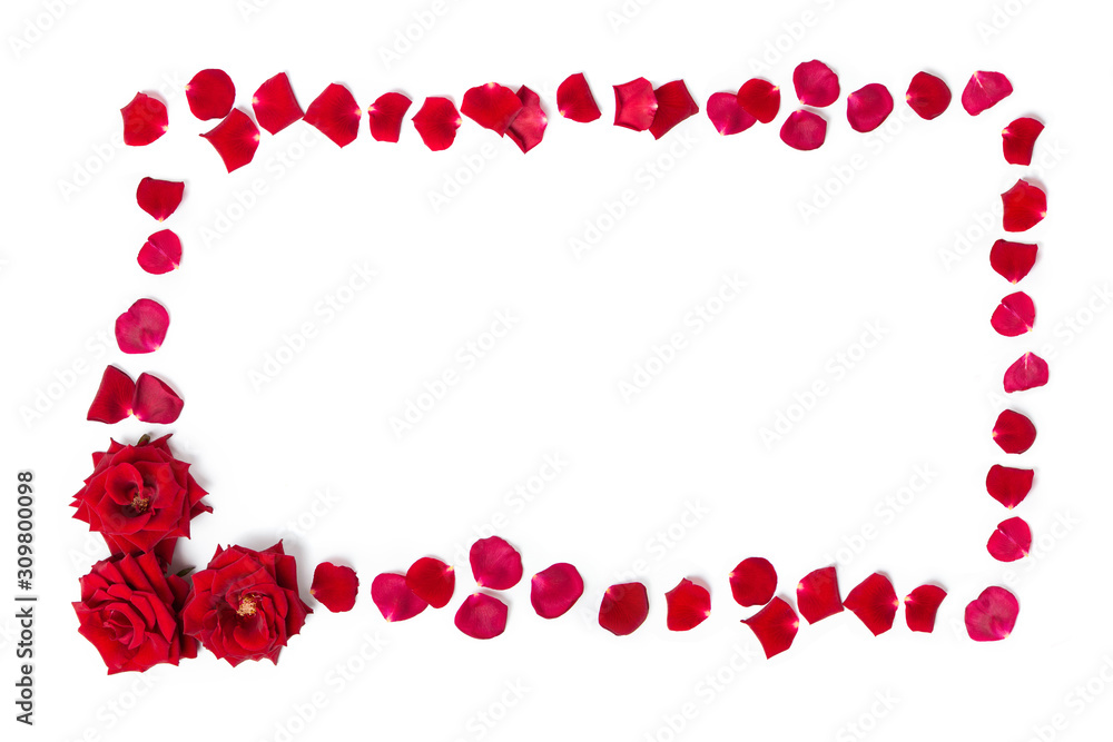 Frame of red roses and rose petals on a white isolated background. Copy space. Frame of red roses and rose petals on a white isolated background. Copy space.