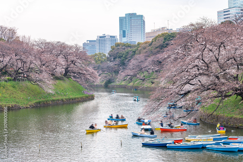 Visitors enjoying the scenario surrounded by Chidori-ga-fuchi Moat's cherry blossoms (sakura) on a rental boat ride. photo