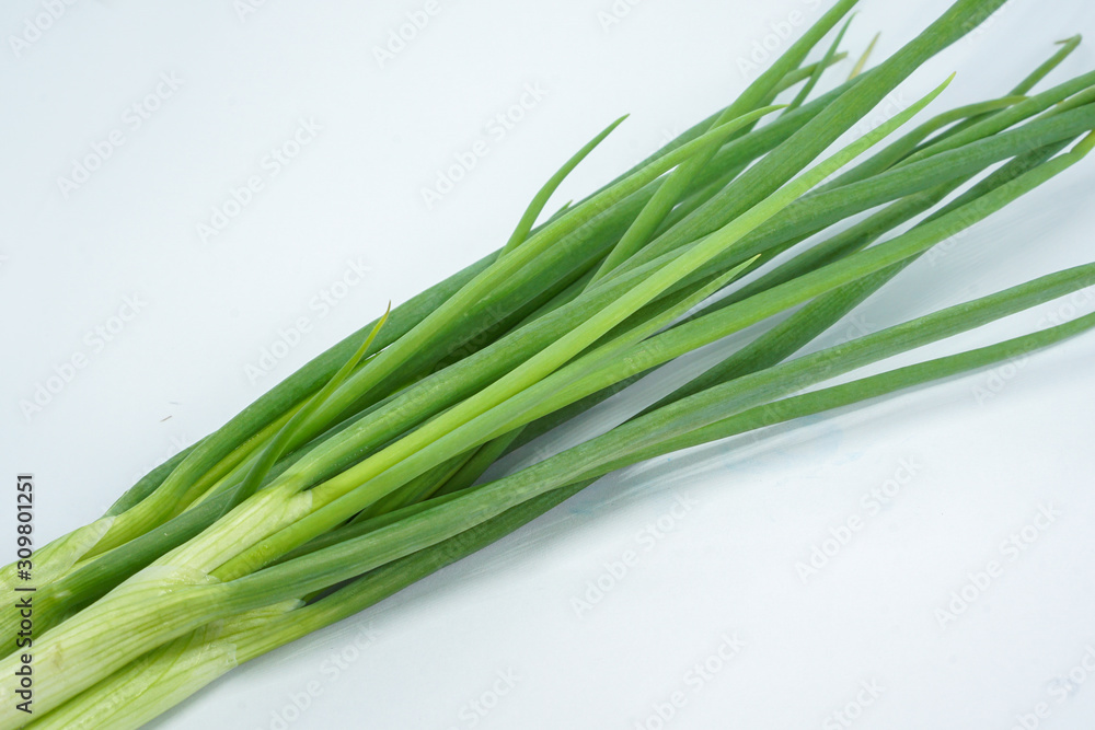 fresh green Spring onion isolated on white background fresh green Spring onion isolated on white background