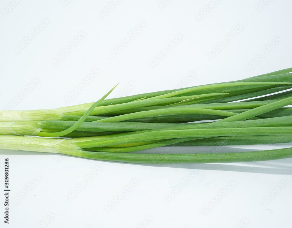 fresh green Spring onion isolated on white background fresh green Spring onion isolated on white background