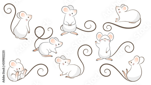 Set of hand drawn rats, mouse in different poses on white background. Vector illustration, cartoon doodle style.