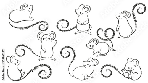 Set of hand drawn rats, mouse in different poses on white background. Vector illustration, cartoon doodle style.