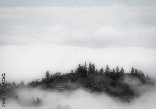 Surreal foggy day in the Oregon hills