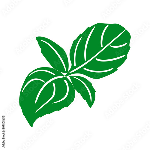basil cartoon isolated flat on white background