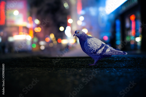 Cool Urban Neon Metro Scene With Pigeon And Blurred City Lights On Street