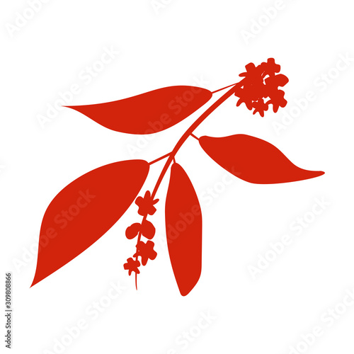 Sandalwood tree branch with flowers silhouette.Vector illustration isolated on white