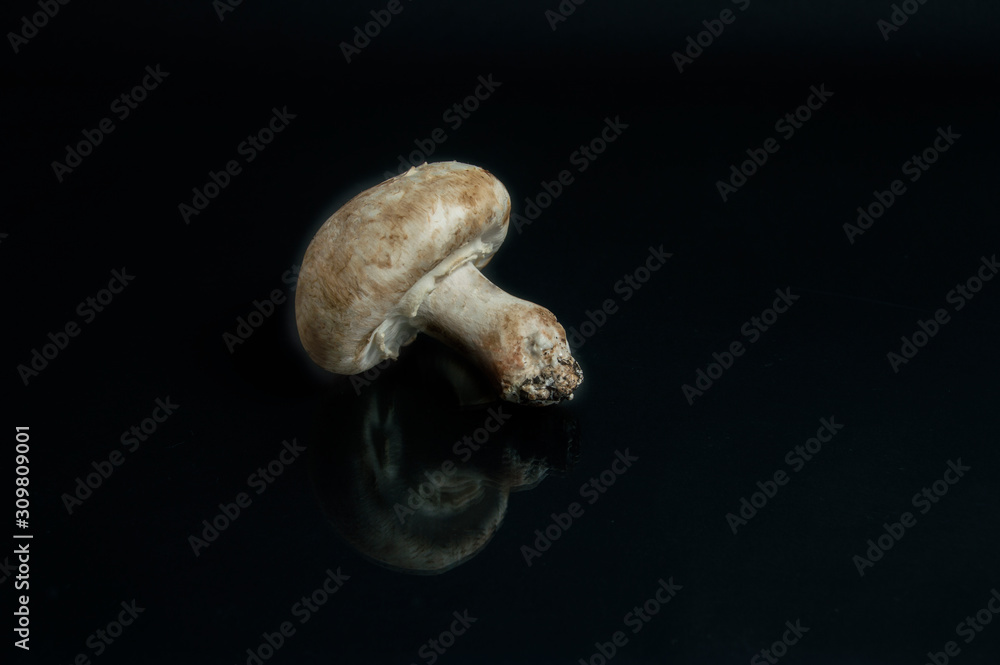 mushroom with reflection isolated on black background mushroom with reflection isolated on black background